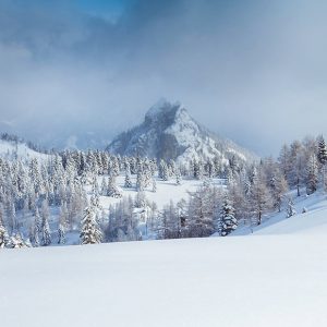 CHG von TREND als Top-3-Kanzlei außerhalb Wiens gelistet